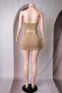 Wild Fringe Two-Piece Skirt Set